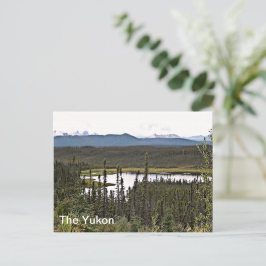 Yukon Pond Postkarte (Stehend Vorderseite)