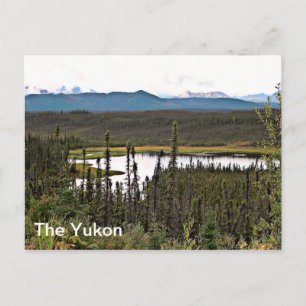 Yukon Pond Postkarte