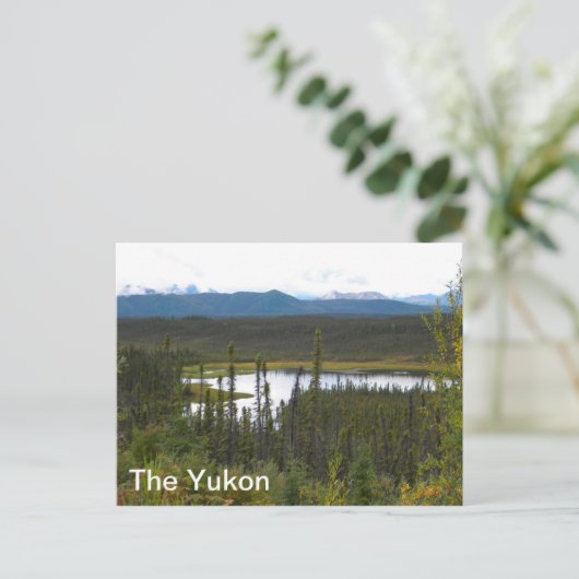 Yukon Pond Postkarte (Stehend Vorderseite)