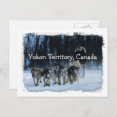 Yukon Quest Dogsled Team Yukon-Gebiet, Kanada Postkarte (Vorne/Hinten)