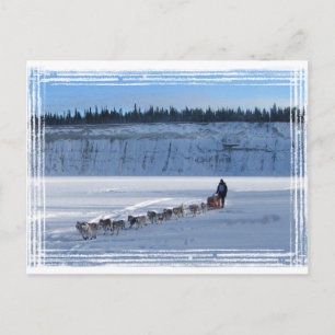 Yukon Quest Team Postkarte