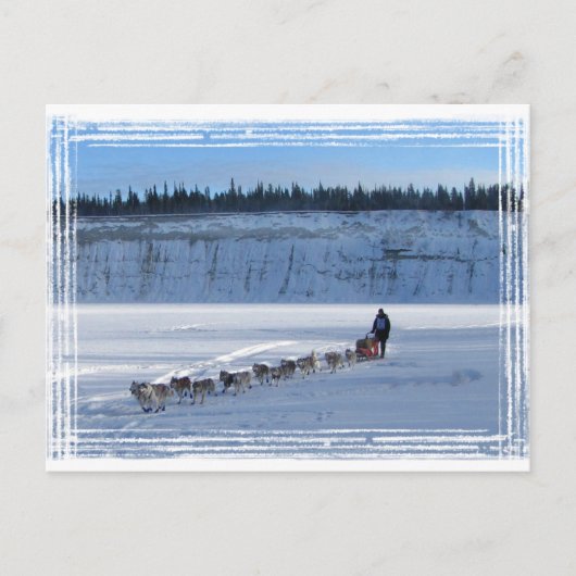 Yukon Quest Team Postkarte (Vorderseite)