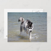 YukonWasser Postkarte (Vorne/Hinten)