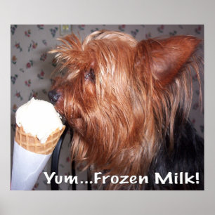 Yum… gefrorene Milch! Poster