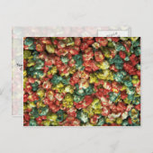 Yummy Colored Popcorn Postkarte (Vorne/Hinten)