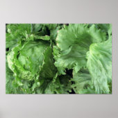 Yummy Iceberg Salat Poster (Vorne)