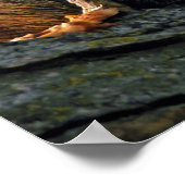 Yummy in meinem Bauch Poster (Ecke)