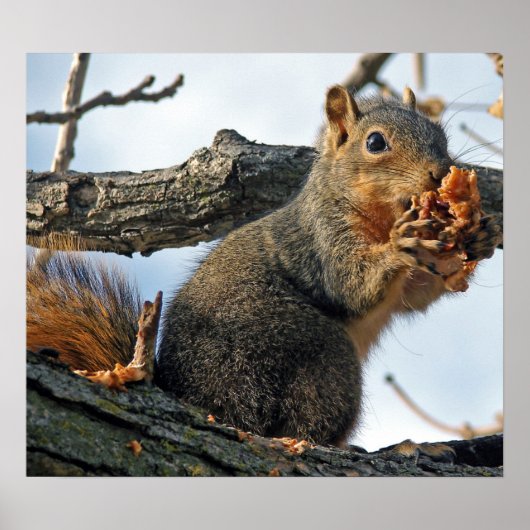 Yummy in meinem Bauch Poster (Vorne)