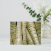 Yummy Parsnips Postkarte (Stehend Vorderseite)