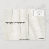 Yummy Parsnips Postkarte (Rückseite)