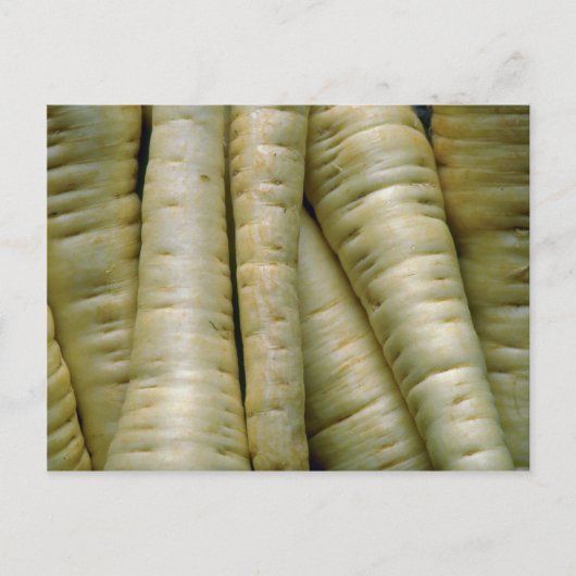 Yummy Parsnips Postkarte (Vorderseite)