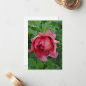 Yummy Pink Blooming Peony Mitteilungskarte (Vorderseite/Rückseite Beispiel)