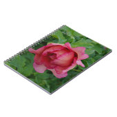 Yummy Pink Blooming Peony Notizblock (Linke Seite)