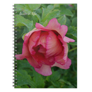 Yummy Pink Blooming Peony Notizblock