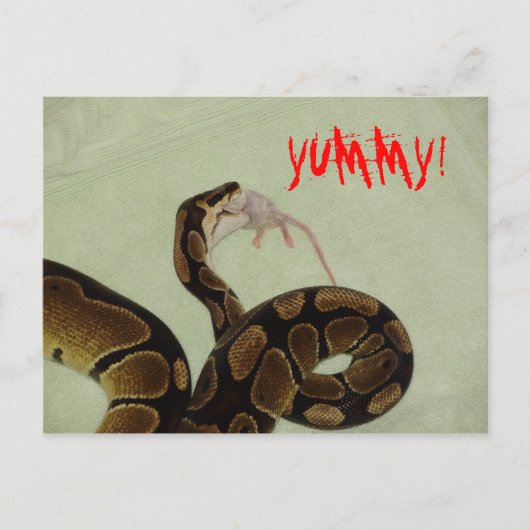 Yummy Postkarte (Vorderseite)