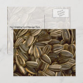 Yummy Sunflower Samen Postkarte (Vorne/Hinten)