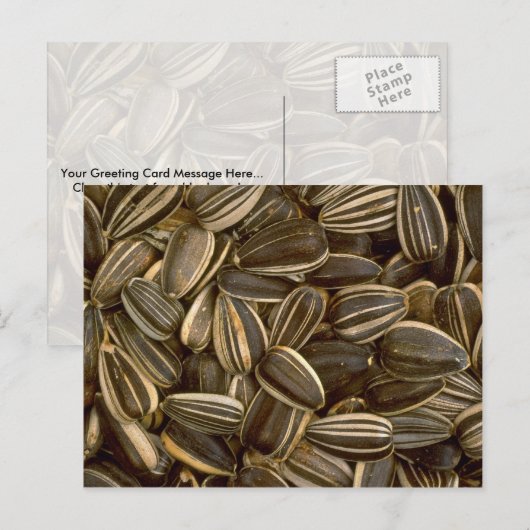 Yummy Sunflower Samen Postkarte (Vorne/Hinten)