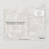 Yummy Sunflower Samen Postkarte (Rückseite)