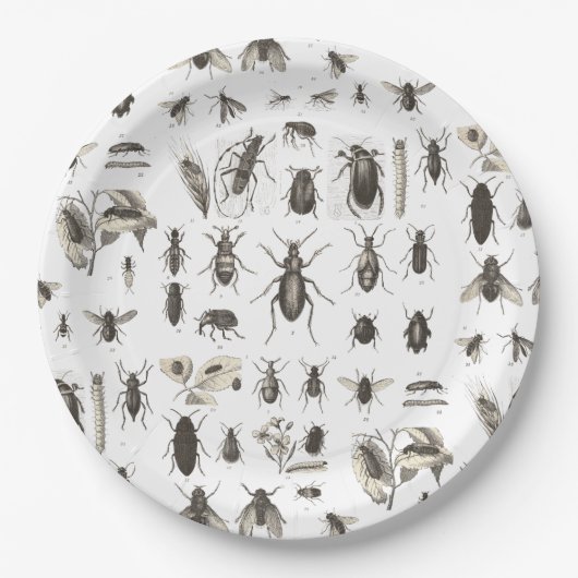 Yummy Wanzen-lustiger Pappteller (Vorderseite)