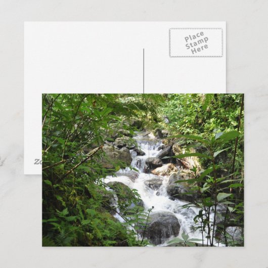 Yunque Rain Forest, Puerto Rico Postkarte (Vorne/Hinten)