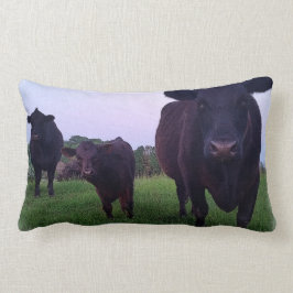 Yup Kow jetzt! Kuh-Kissen Lendenkissen
