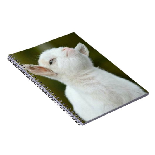 Yup Notizblock (Rechte Seite)