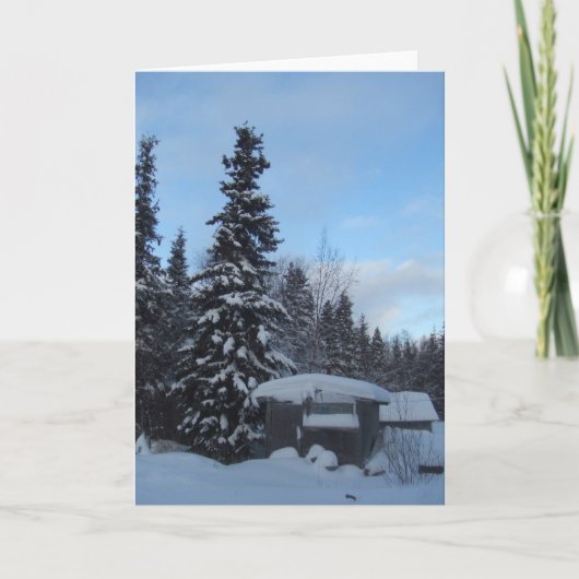 Yup'ik Maqii (Dampfbad) Dillingham, Alaska Karte (Vorderseite)