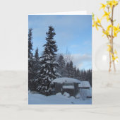 Yup'ik Maqii (Dampfbad) Dillingham, Alaska Karte (Gelbe Blume)