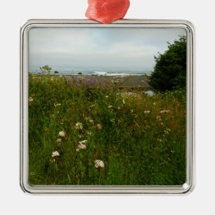 Yurok Loop Trail im Redwood Nationalpark Ornament Aus Metall