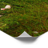 Yurok Loop Trail im Redwood Nationalpark Poster (Ecke)