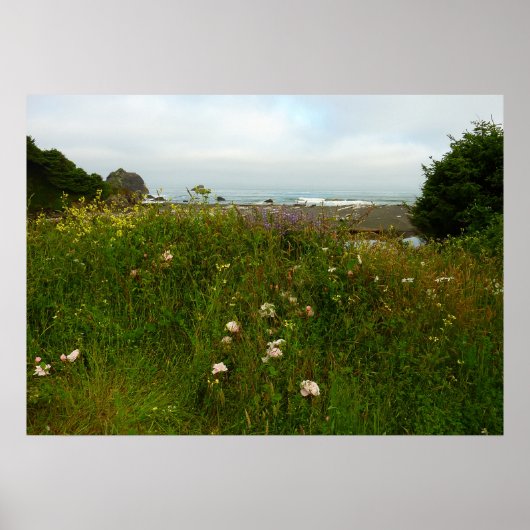 Yurok Loop Trail im Redwood Nationalpark Poster (Vorne)