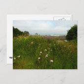 Yurok Loop Trail im Redwood Nationalpark Postkarte (Vorne/Hinten)