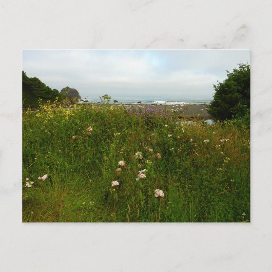 Yurok Loop Trail im Redwood Nationalpark Postkarte (Vorderseite)