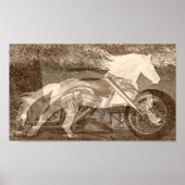 Ywindrider Poster (Vorne)