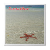 Z011 ZANZIBAR, Starfish, Tansania, Afrika, Fliese (Vorderseite)