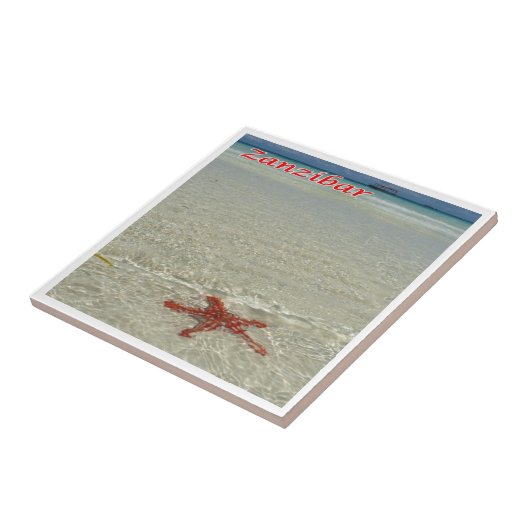 Z011 ZANZIBAR, Starfish, Tansania, Afrika, Fliese (Seite)