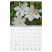 Z bunter Clematis 2013 Kalender (Jan 2027)