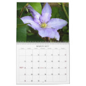 Z bunter Clematis 2013 Kalender (Mär 2027)