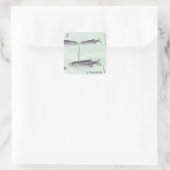 Z für Zebrafischkleber Quadratischer Aufkleber (Tasche)