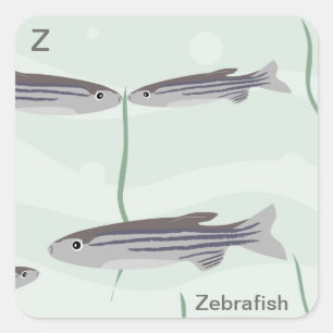Z für Zebrafischkleber Quadratischer Aufkleber