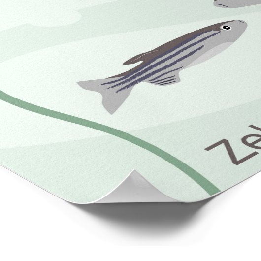 Z für zebrafish Poster (Ecke)