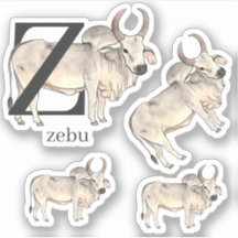 Z für Zebu-Aufkleber
