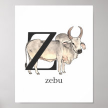 Z für Zebu-Poster