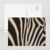 Z Stripes Postkarte (Vorne/Hinten)