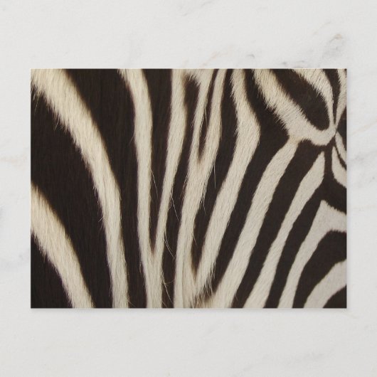 Z Stripes Postkarte (Vorderseite)