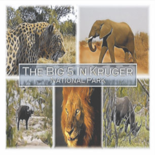 ZA * SÜDAFRIKA - DER GROSSE 5 IN KRUGER N.P. AUFKLEBER