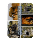 ZA * SÜDAFRIKA - DER GROSSE 5 IN KRUGER N.P. MAGNET (Vertikal)