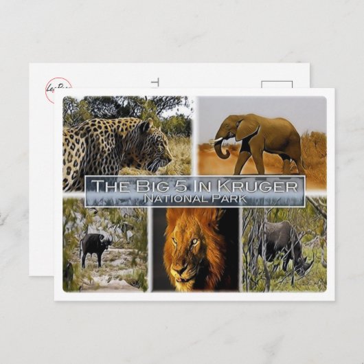 ZA * SÜDAFRIKA - DER GROSSE 5 IN KRUGER N.P. POSTKARTE (Vorne/Hinten)