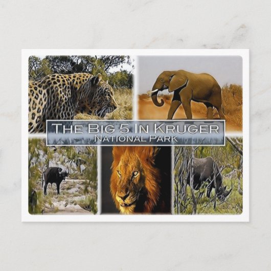 ZA * SÜDAFRIKA - DER GROSSE 5 IN KRUGER N.P. POSTKARTE (Vorderseite)