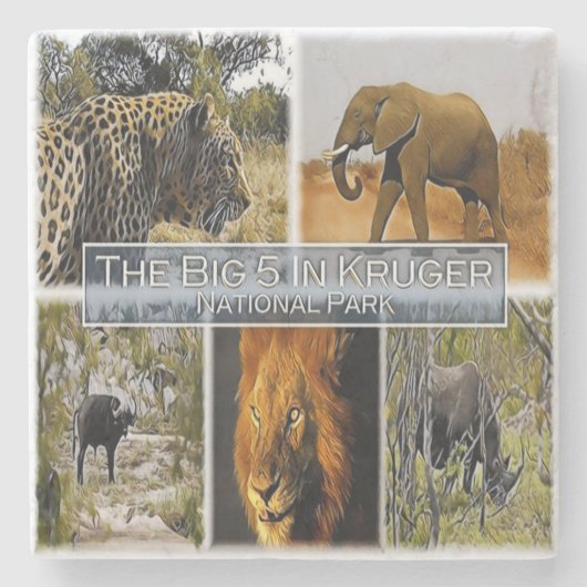 ZA * SÜDAFRIKA - DER GROSSE 5 IN KRUGER N.P. STEINUNTERSETZER (Vorderseite)